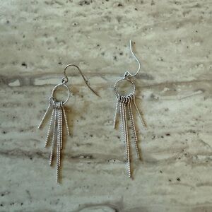 Elegant Silver Dangle Earrings